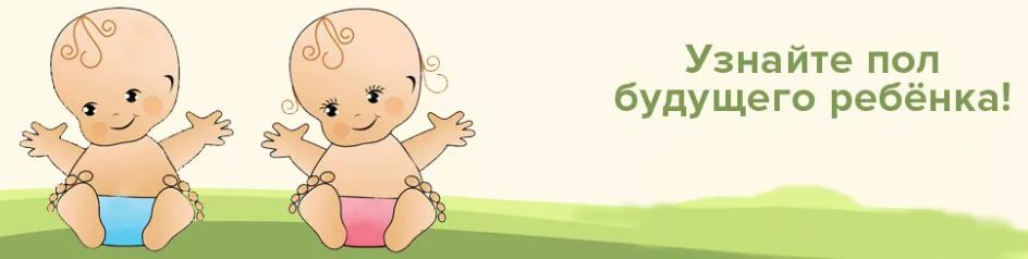  Узнать пол будущего ребенка
